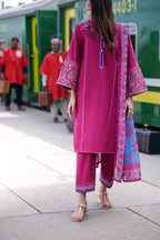 Safarnama 3PC Embroidered Lawn