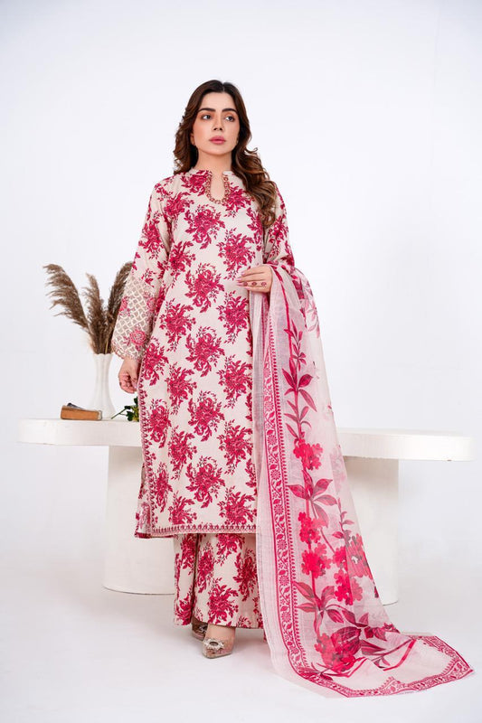 Aafreen - Embroidered 3-Piece