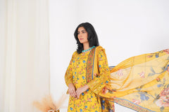 Zoya - Embroidered 3-Piece
