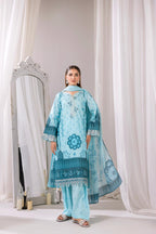 Embroidered 3 piece Lawn H-2